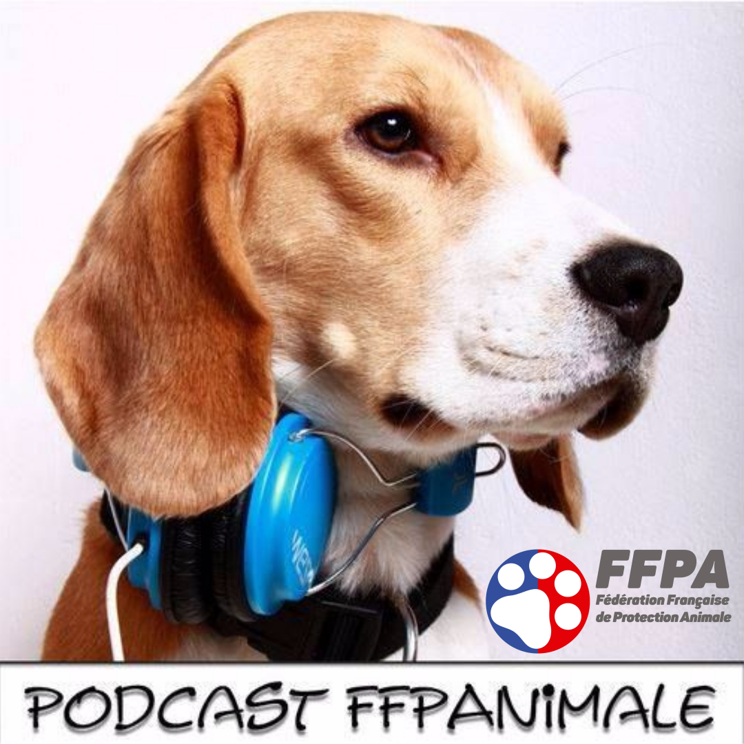 Podcast FFPA